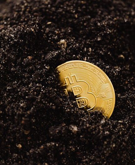 Личный кабинет EMCD Pool: функциональность и возможности